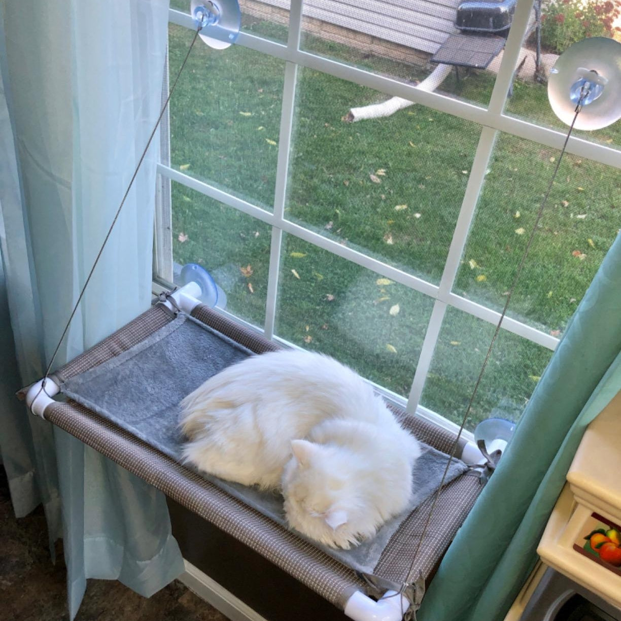 Cat Window Bed