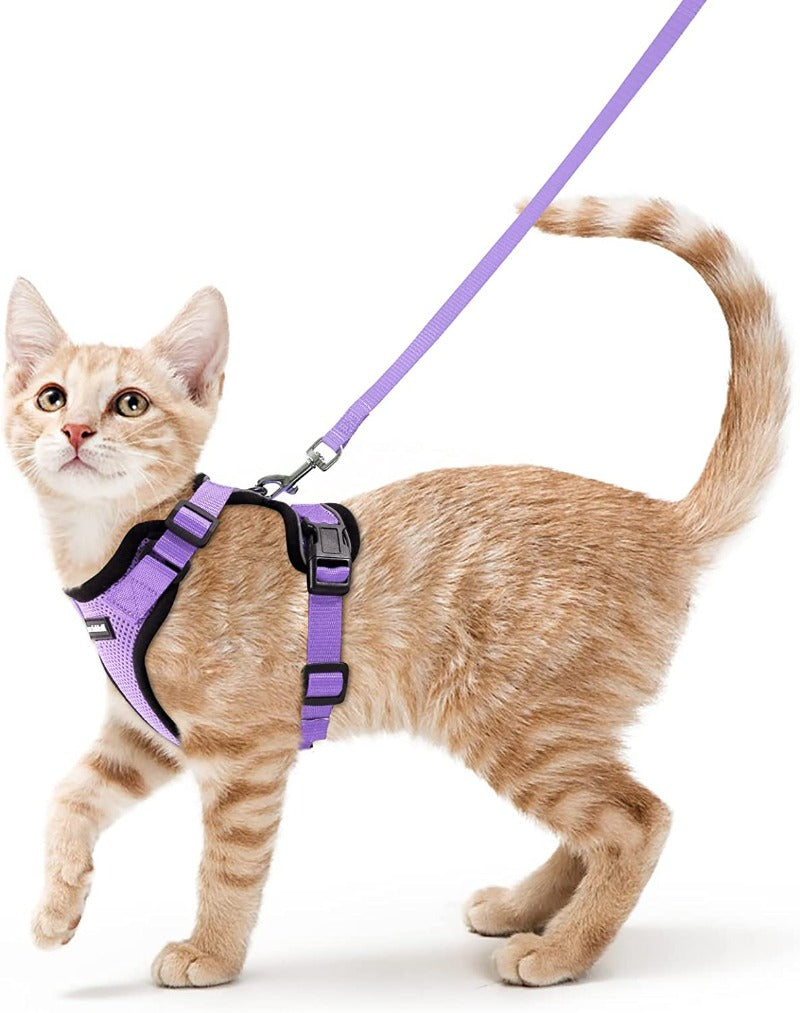 Cat Harness and Leash for Walking