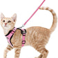 Cat Harness and Leash for Walking