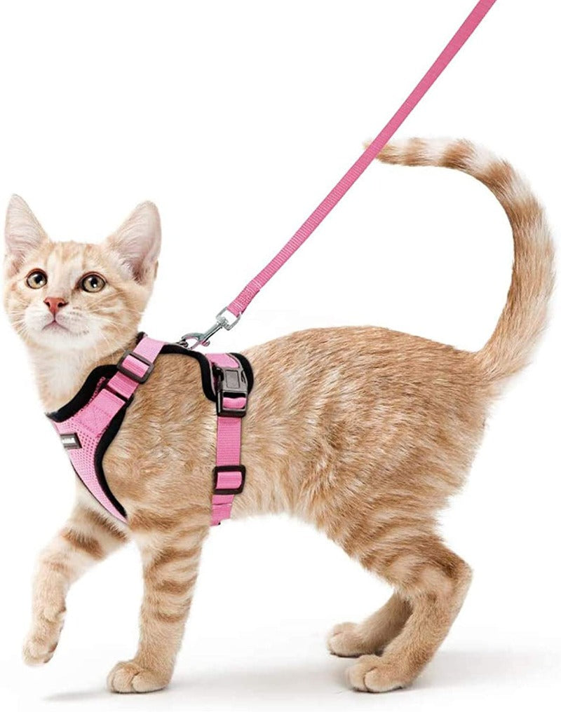 Cat Harness and Leash for Walking
