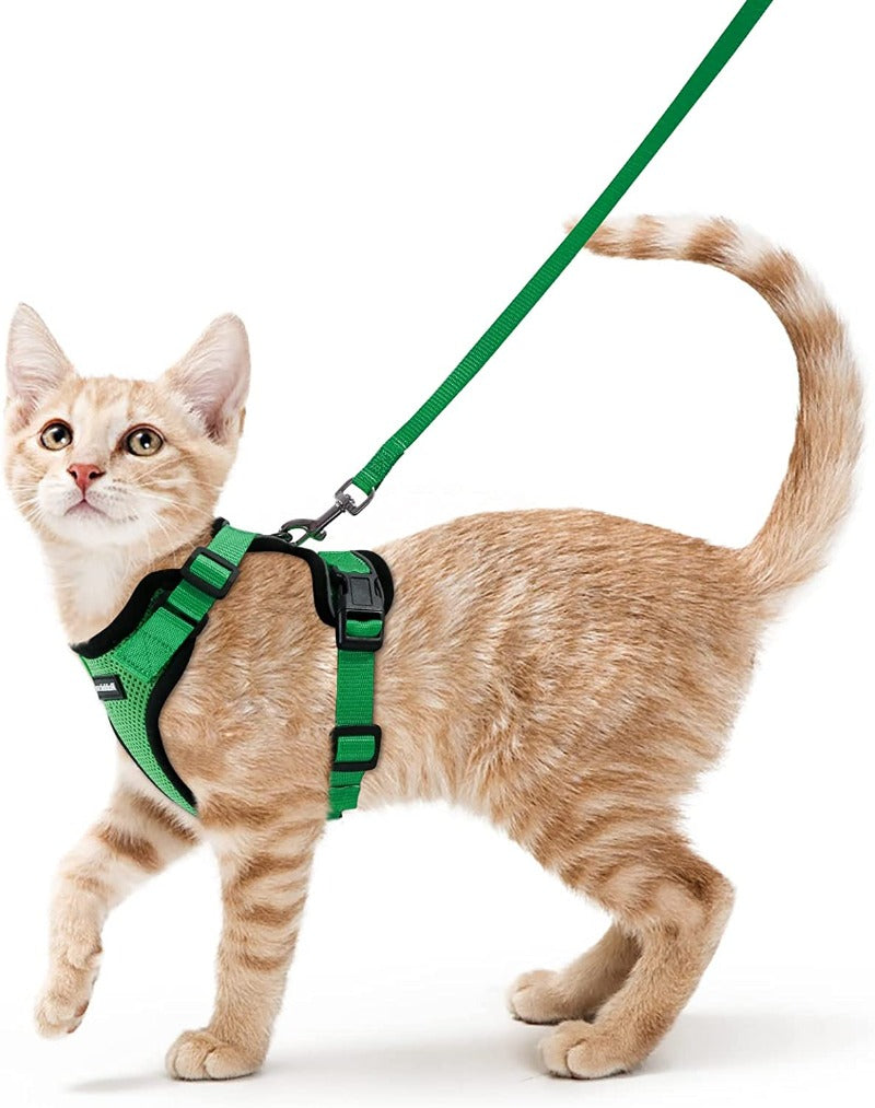 Cat Harness and Leash for Walking