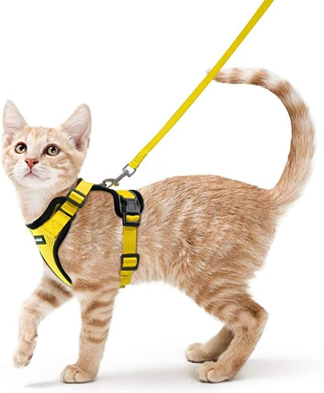 Cat Harness and Leash for Walking