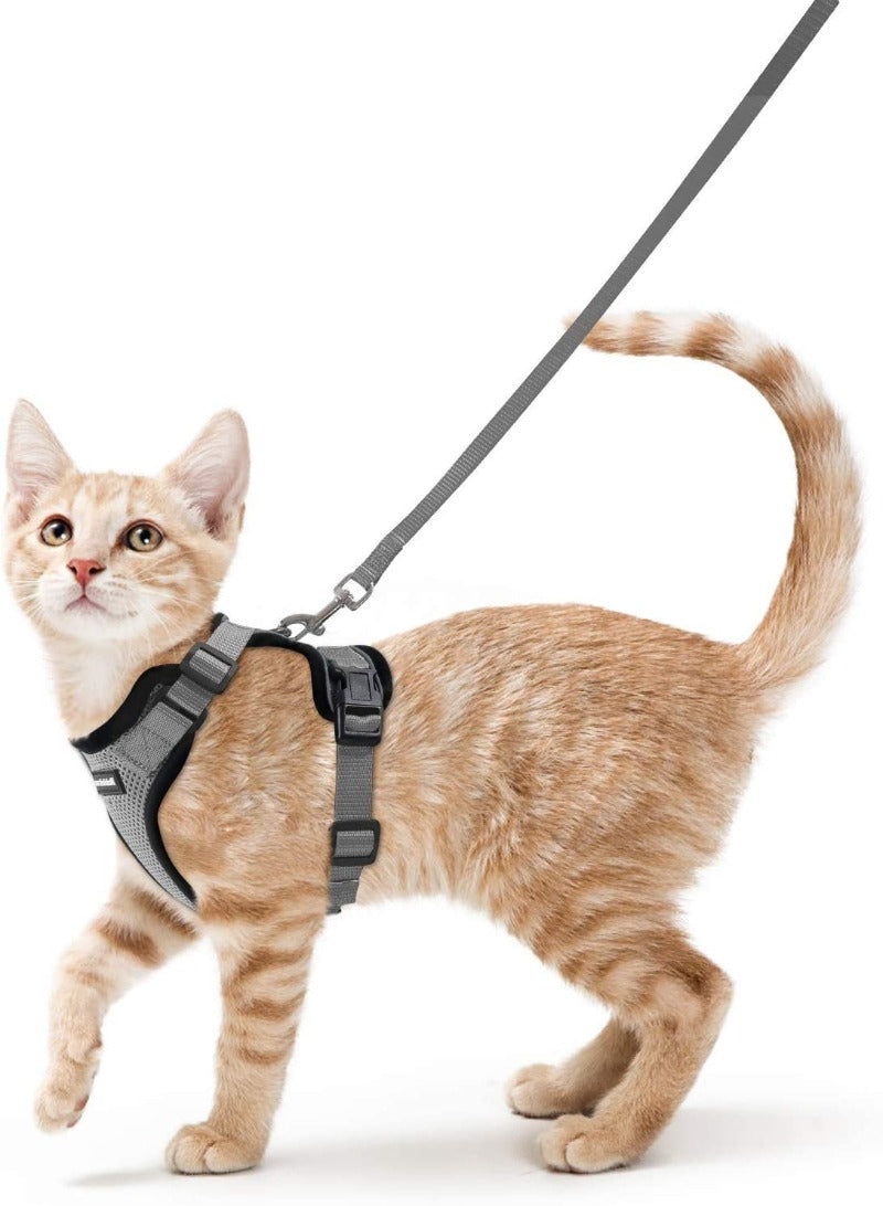 Cat Harness and Leash for Walking