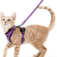 Cat Harness and Leash for Walking
