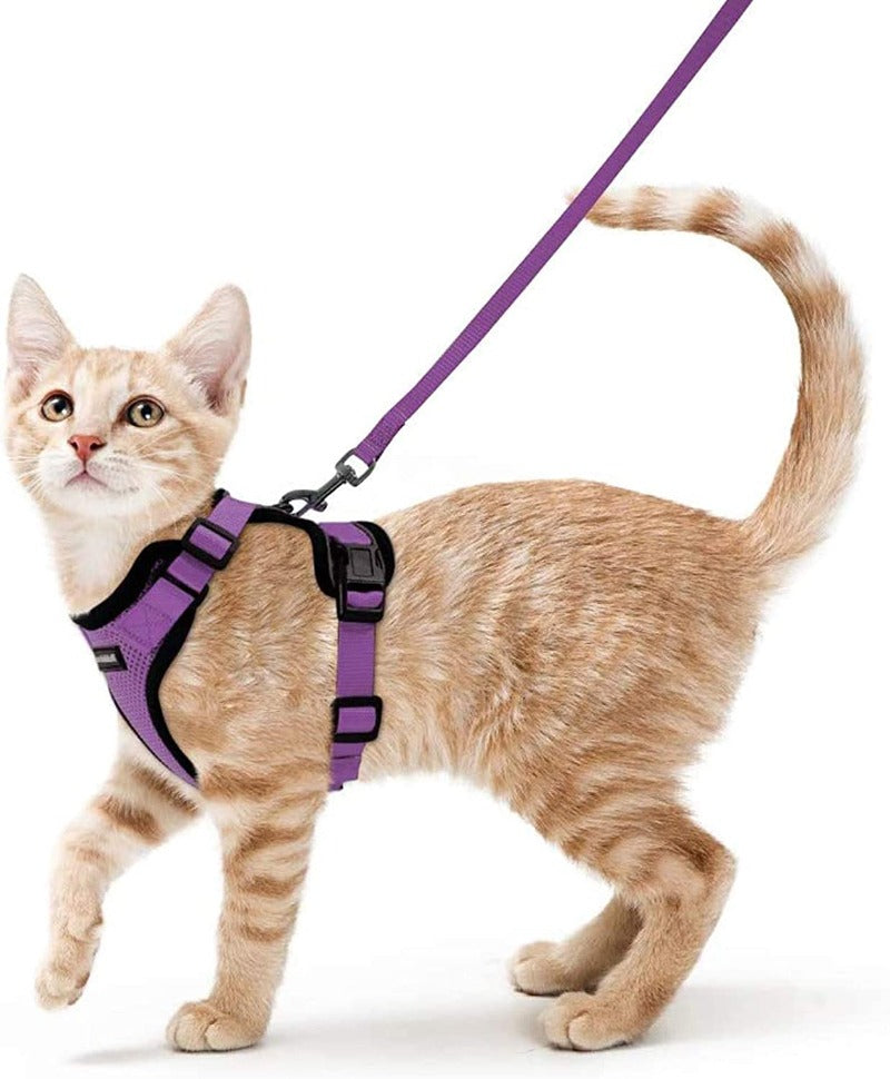Cat Harness and Leash for Walking