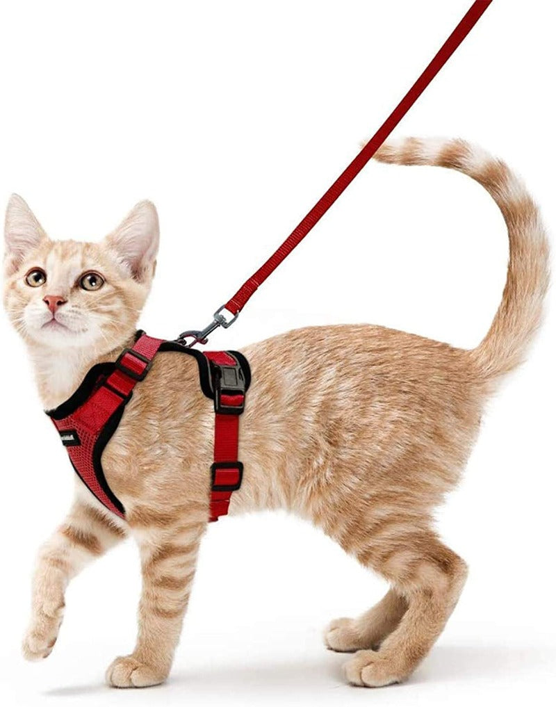 Cat Harness and Leash for Walking
