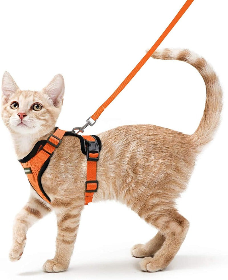 Cat Harness and Leash for Walking
