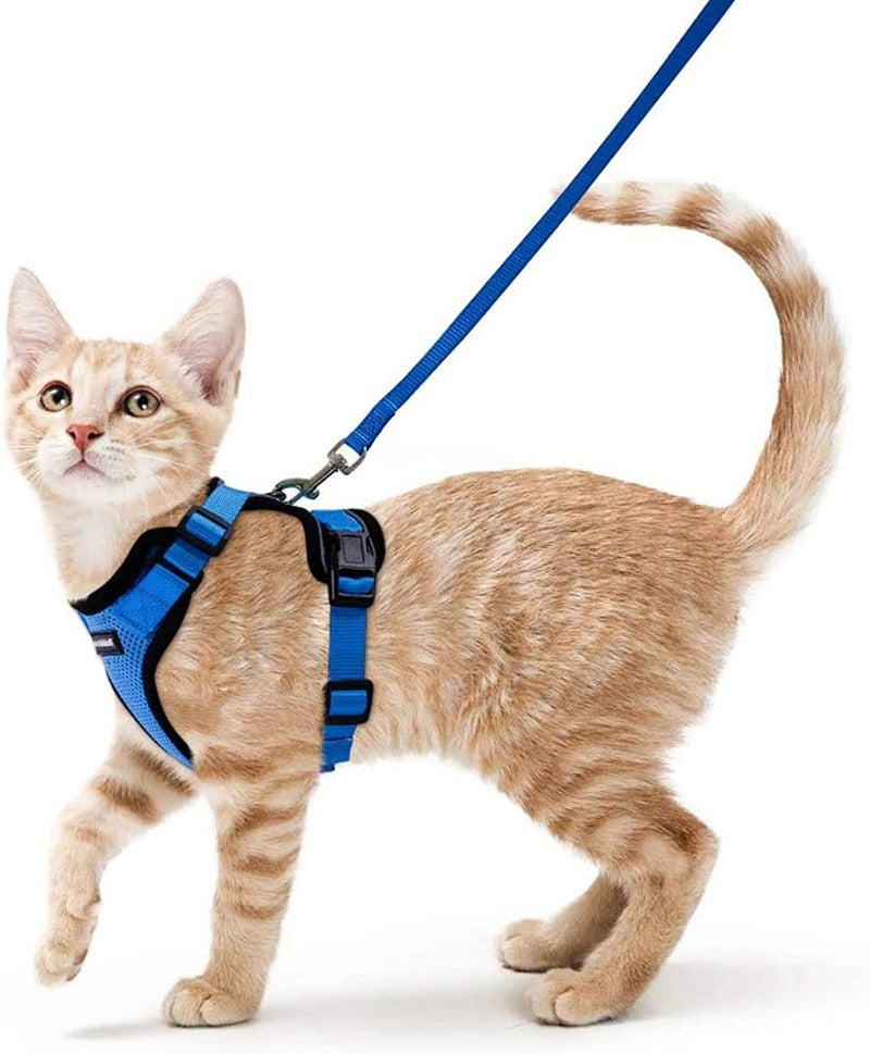 Cat Harness and Leash for Walking