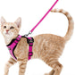 Cat Harness and Leash for Walking