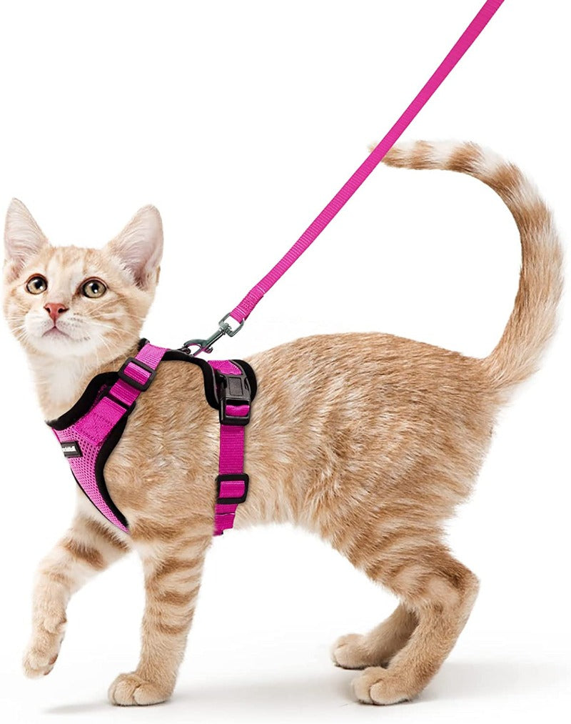 Cat Harness and Leash for Walking