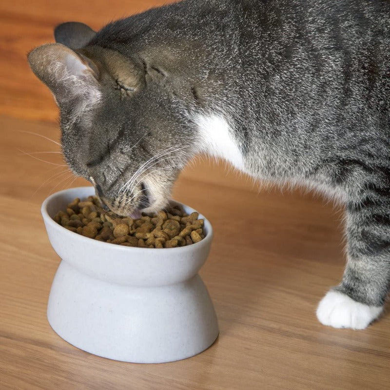 Raised Cat Food Bowl