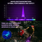 UV Flashlight Black Light
